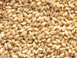 Aşurelik Bulgur